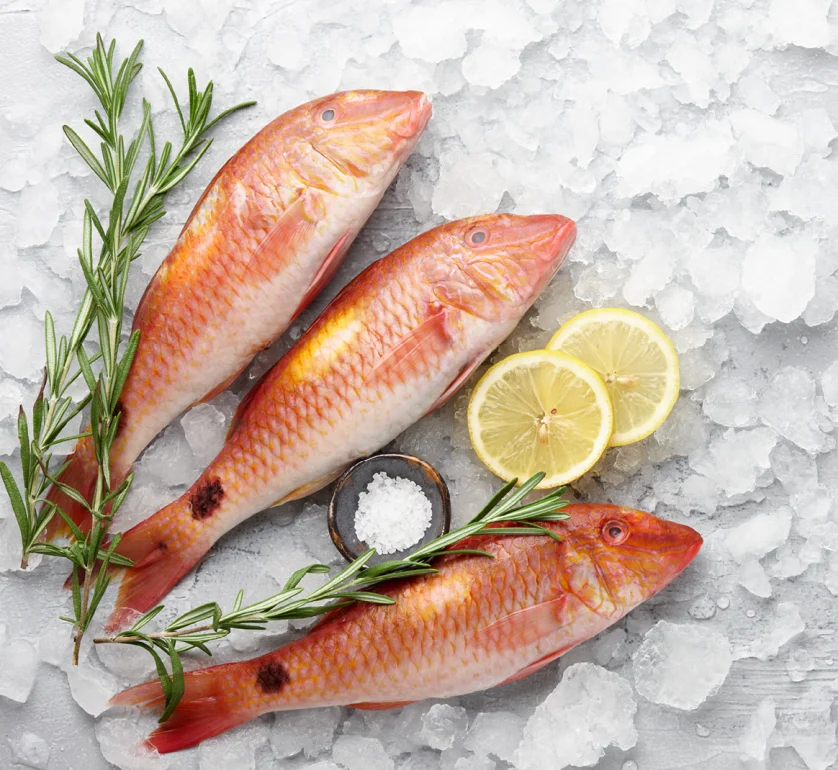 striped red mullet سمك بربوني من المعدية طازة