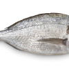 Gilt Head Bream (Denees)